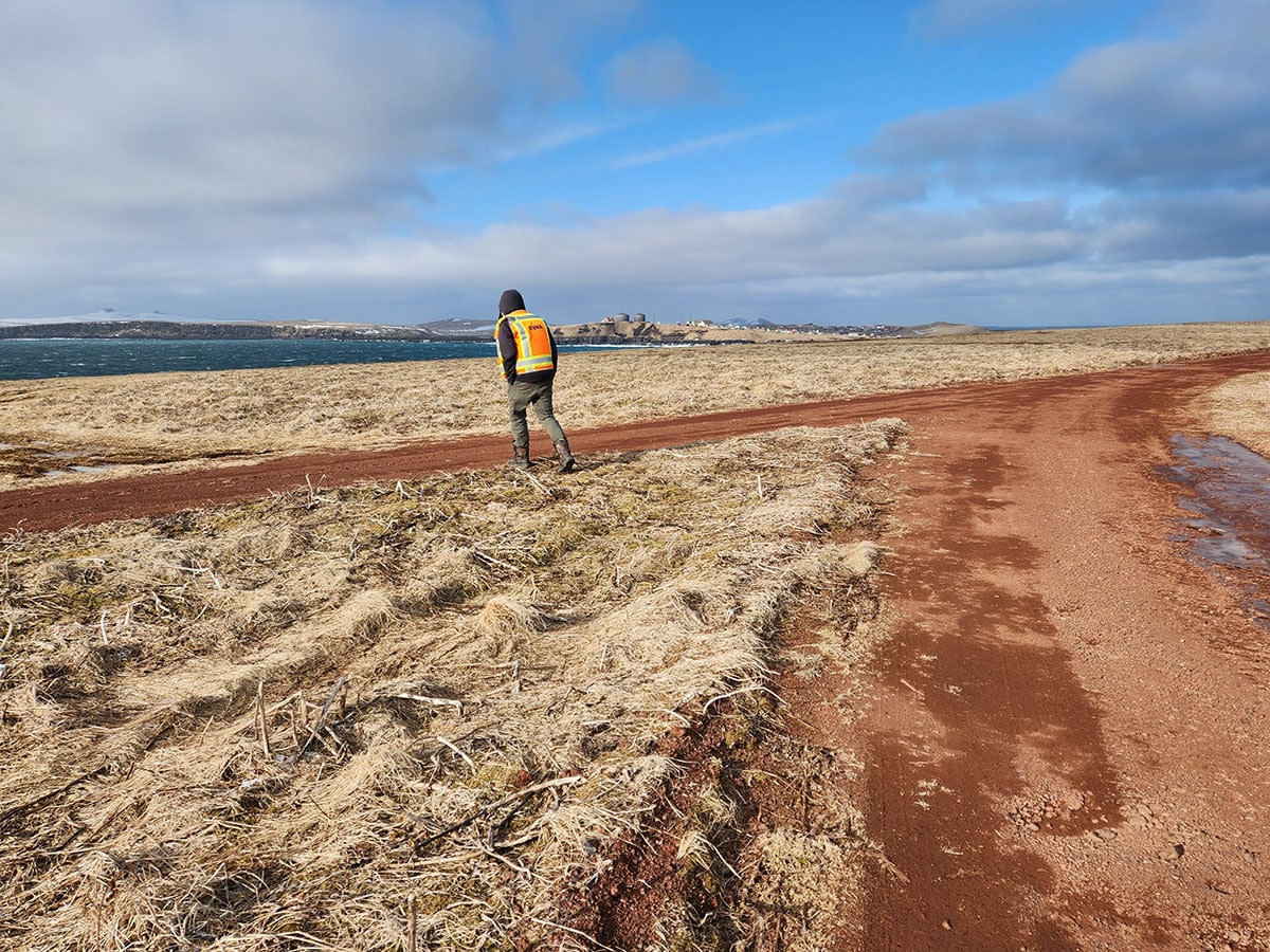 person walking on a dirt road